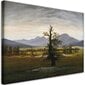 Seinapilt Caspar David Friedrich, üksildane puu hind ja info | Seinapildid | kaup24.ee