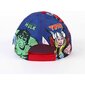 Nokamüts lastele The Avengers, sinine hind ja info | Poiste mütsid, sallid, kindad | kaup24.ee