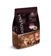 Addvena Boosted by Superfoods väikest tõugu noortele koertele koos uluki-, küüliku- ja veiselihaga, 2,5 kg hind ja info | Kuivtoit koertele | kaup24.ee