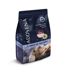 Addvena Power of Nature Junior väikest tõugu noortele koertele koos lambalihaga, 2,5 kg цена и информация | Сухой корм для собак | kaup24.ee