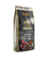 Belcando Adult Grain Free igat tõugu täiskasvanud koertele, 4 kg hind ja info | Kuivtoit koertele | kaup24.ee