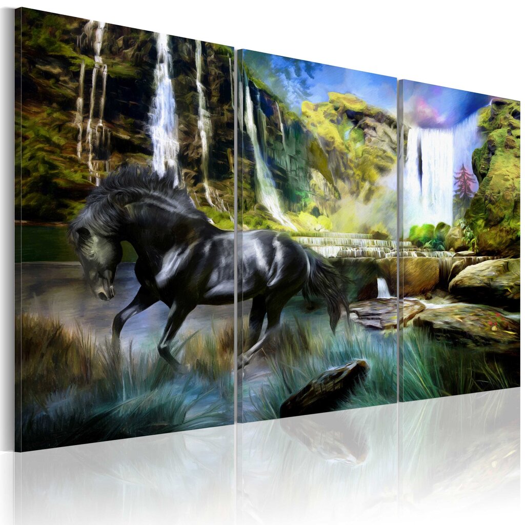 Maal - Horse on the sky-blue waterfall background hind ja info | Seinapildid | kaup24.ee