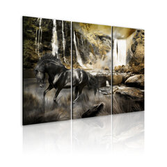 Maal - Black horse and rocky waterfall hind ja info | Seinapildid | kaup24.ee