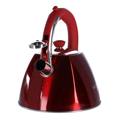 Стальный чайник 3.0L Zilner Rosegld ZL-5697 цена и информация | Чайники, кофейники | kaup24.ee