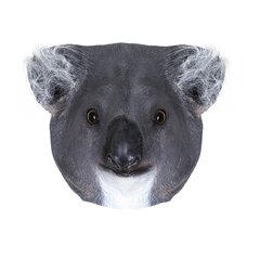 Lateksist koala mask hind ja info | Karnevali kostüümid | kaup24.ee