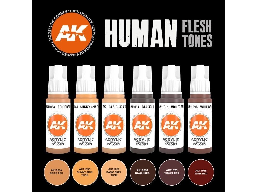 Akrüülvärvide komplekt AK Interactive 3rd generation Human Flesh tones, AK11603 hind ja info | Kunstitarbed, voolimise tarvikud | kaup24.ee