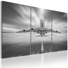 Maal - Towards the clouds - triptych hind ja info | Seinapildid | kaup24.ee
