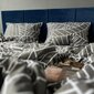 Sweet Sleep voodipesukomplekt Palmilehed, 180x200, 4-osaline цена и информация | Voodipesukomplektid | kaup24.ee
