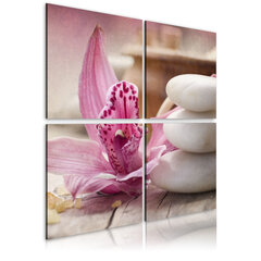 Maal - Orchid and zen цена и информация | Картины, живопись | kaup24.ee