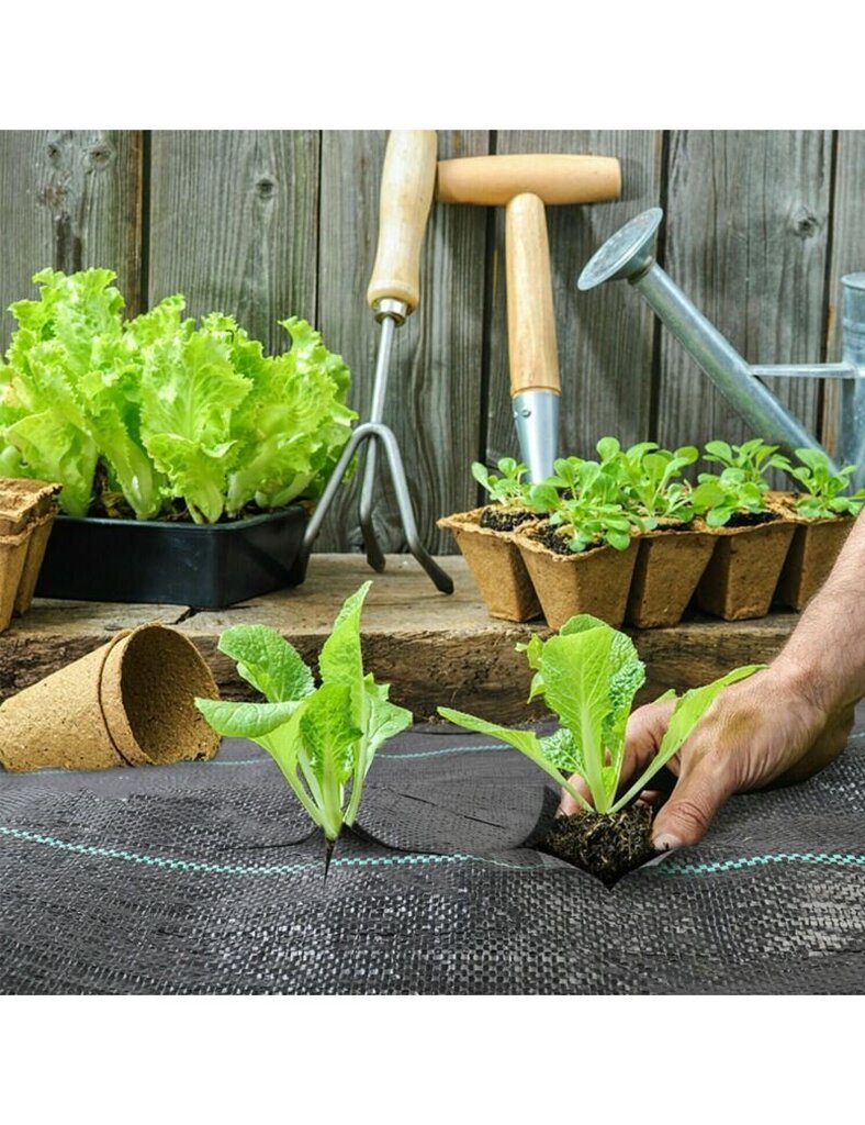 Agrotekstiil umbrohu vastu John Green 1,6x100 m, 90g, must hind ja info | Aiatööriistad | kaup24.ee