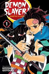 Koomiks Manga Demon slayer Vol. 1 hind ja info | Koomiksid | kaup24.ee