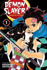 Комикс Манга Demon slayer Vol. 1 цена и информация | Комиксы | kaup24.ee