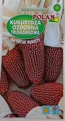 Декоративная кукуруза Полан цена и информация | Семена цветов | kaup24.ee