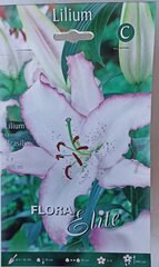 Idamaised liiliad Brasilia, 2 tk Flora Elite цена и информация | Луковицы цветов | kaup24.ee