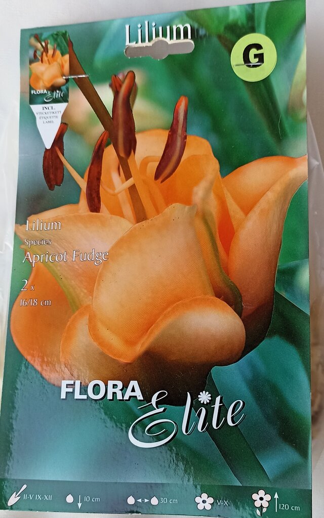 Liiliad Apricot Fudge 2 tk Flora Elite цена и информация | Lillesibulad | kaup24.ee