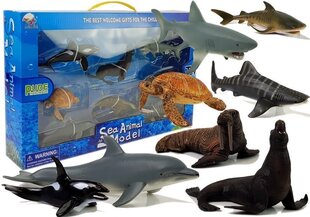 Haridusfiguurid Mereloomad 8 tükki Haid Hülged delfiin Morss Kilpkonn hind ja info | Tüdrukute mänguasjad | kaup24.ee