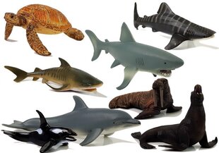 Образовательные фигурки Морские животные 8 шт. (Акулы, тюлень, дельфин, морж, черепаха) цена и информация | Игрушки для девочек | kaup24.ee