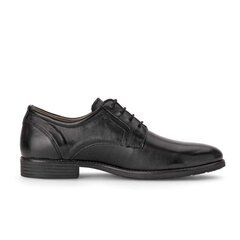 Мужские классические туфли Pius Gabor, коричневые цена и информация | Мужские ботинки | kaup24.ee