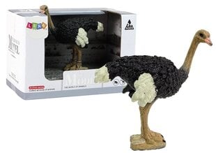 Коллекционная фигурка страуса, серия «Животные мира» цена и информация | Игрушки для мальчиков | kaup24.ee