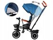 Kolmerattaline Tiny Bike 3in1 SP0650, sinine hind ja info | Kolmerattalised jalgrattad | kaup24.ee