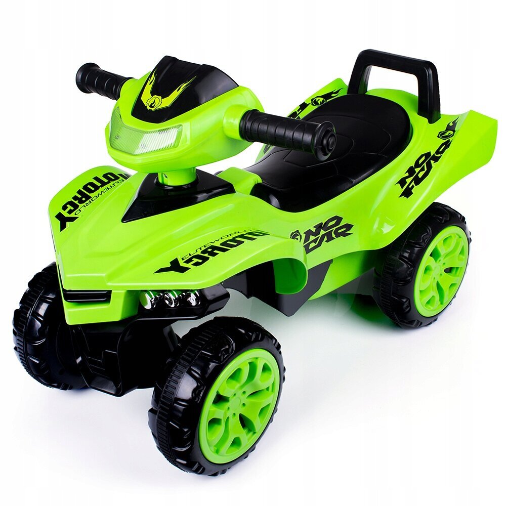 Laste neljarattaline jalgratas Sport XL Quad, roheline hind ja info | Poiste mänguasjad | kaup24.ee