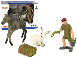 Loomafiguuride komplekt Hobune Halljänes Farmer hind ja info | Tüdrukute mänguasjad | kaup24.ee