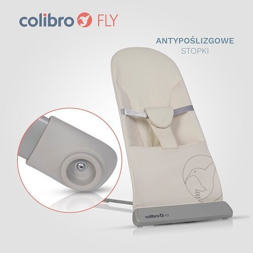 Lamamistool Colibro Fly Almond цена и информация | Beebi lamamistoolid | kaup24.ee