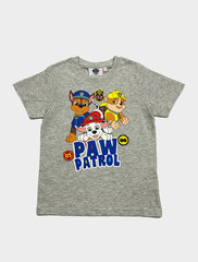 Футболка Paw Patrol для мальчиков, серый цена и информация | Рубашки для мальчиков | kaup24.ee