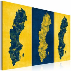 Maal - Painted map of Sweden - triptych hind ja info | Seinapildid | kaup24.ee