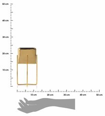 Lillepott Mizu Gold, 12x12x23 cm hind ja info | Dekoratiivsed lillepotid | kaup24.ee