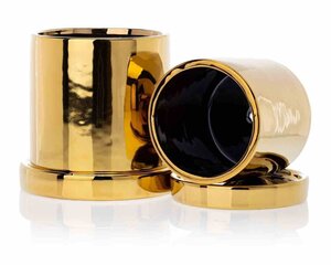 Pott taldrikuga Hanya Gold, 11x11x11 cm цена и информация | Вазоны | kaup24.ee