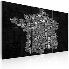Maal - Text map of France on the black background - triptych hind ja info | Seinapildid | kaup24.ee
