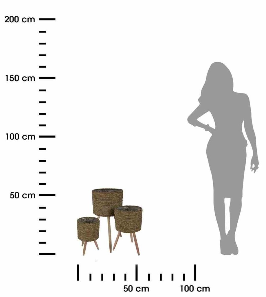 Lillepottide komplekt alusega 58 cm, 44 cm, 34,5 cm цена и информация | Dekoratiivsed lillepotid | kaup24.ee