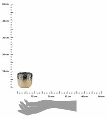 Keraamiline Lillepott, 8x9 cm hind ja info | Dekoratiivsed lillepotid | kaup24.ee