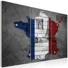 Maal - Symbols of France - triptych hind ja info | Seinapildid | kaup24.ee