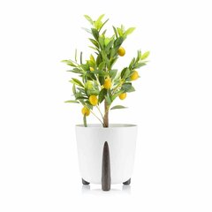 Lillepott Moss, 30x28 cm, valge hind ja info | Dekoratiivsed lillepotid | kaup24.ee