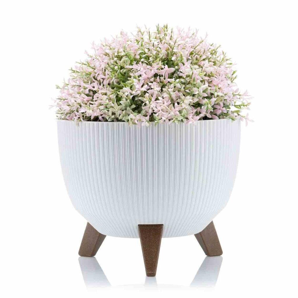 Lillepottide komplekt Rosa linea Eco, 2 tk hind ja info | Dekoratiivsed lillepotid | kaup24.ee