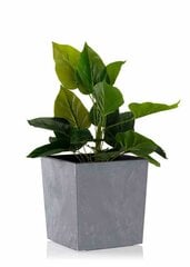 Lillepott Flore Grey Concrete, 25x25 cm hind ja info | Dekoratiivsed lillepotid | kaup24.ee