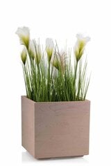Lillepott Betonique, 40X40 cm hind ja info | Dekoratiivsed lillepotid | kaup24.ee