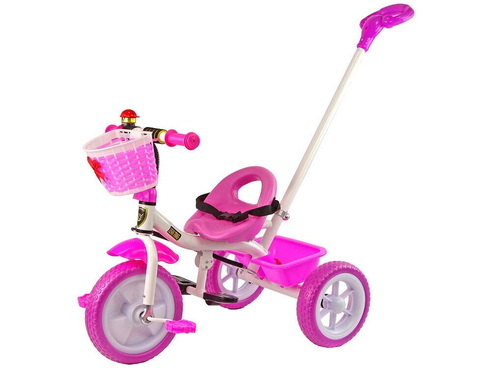 Kolmerattaline Lean Toys PRO100, roosa hind ja info | Kolmerattalised jalgrattad | kaup24.ee
