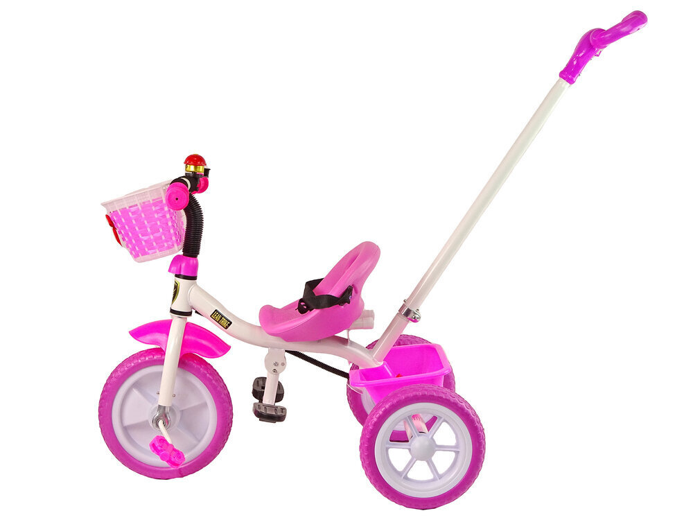 Kolmerattaline Lean Toys PRO100, roosa hind ja info | Kolmerattalised jalgrattad | kaup24.ee