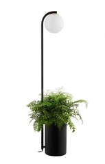 Kaspa светильник на стол Botanica Deco цена и информация | Настольные лампы | kaup24.ee