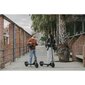 Elektriline tõukeratas Ninebot by Segway Kickscooter F2 Plus E, must цена и информация | Elektritõukerattad | kaup24.ee