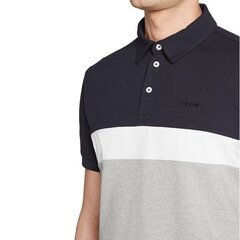 Рубашка-поло Geox мужская 8056206148765, разноцветная цена и информация | Мужские футболки | kaup24.ee