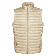 Meeste vest Geox 8056206137639, beež hind ja info | Meeste vestid | kaup24.ee