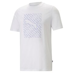 Puma Футболки Graphics Execution Tee White 680183 02 680183 02/XL цена и информация | Meeste T-särgid | kaup24.ee