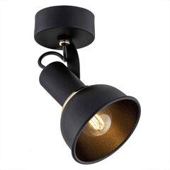 Argon настенный светильник Lenora цена и информация | Настенные светильники | kaup24.ee