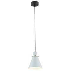 Argon подвесной светильник Beverly цена и информация | Потолочный светильник, 38 x 38 x 24 см | kaup24.ee