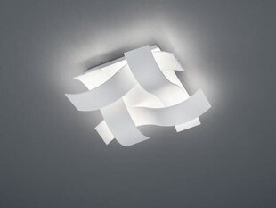 Trio потолочный светильник Ruby цена и информация | Потолочные светильники | kaup24.ee