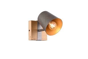 Trio настенный светильник Bell цена и информация | Настенные светильники | kaup24.ee